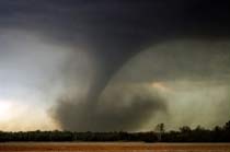 twister